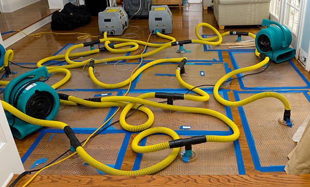 Professional Water Extraction technician working in Camden, ME